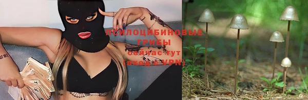 PSILOCYBIN Армянск