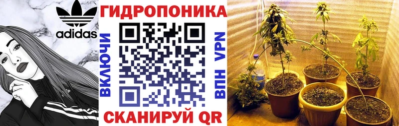 MEGA ONION  Каневская  Канабис планчик 